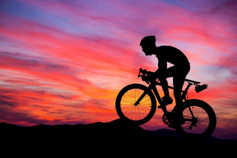 modelos e características